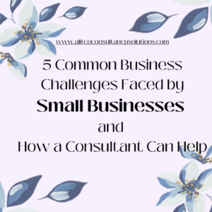 5 Common Business Challenges Faced by Small Businesses and How a Consultant Can Help